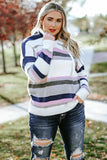 Plus Size Striped Long Sleeve Hooded Sweater - Trendsi - Flyclothing LLC