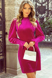 Frill Mock Neck Flounce Sleeve Mini Dress - Trendsi - Flyclothing LLC