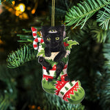 Black Cat Christmas Halloween Decoration Cat Decoration Pendant - My Store - Flyclothing LLC