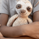 Ace the sloth - bebemoss.com - Flyclothing LLC