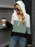 Color Block Half Zip Hooded Top - Trendsi - Flyclothing LLC