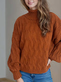 Cable-Knit Turtleneck Long Sleeve Sweater - Trendsi - Flyclothing LLC