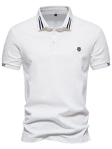 Men's Embroidered Striped Short Sleeve Polo - Trendsi - Flyclothing LLC