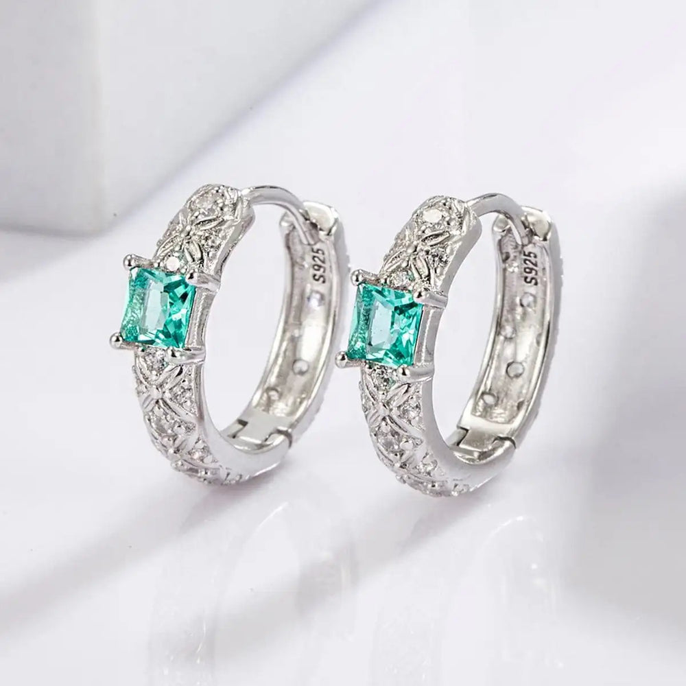 925 Sterling Silver Inlaid Zircon Earrings - Trendsi