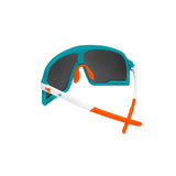 Miami Dolphins Campeones