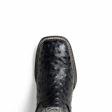 Alabama Black - Marco Di Milano - Flyclothing LLC
