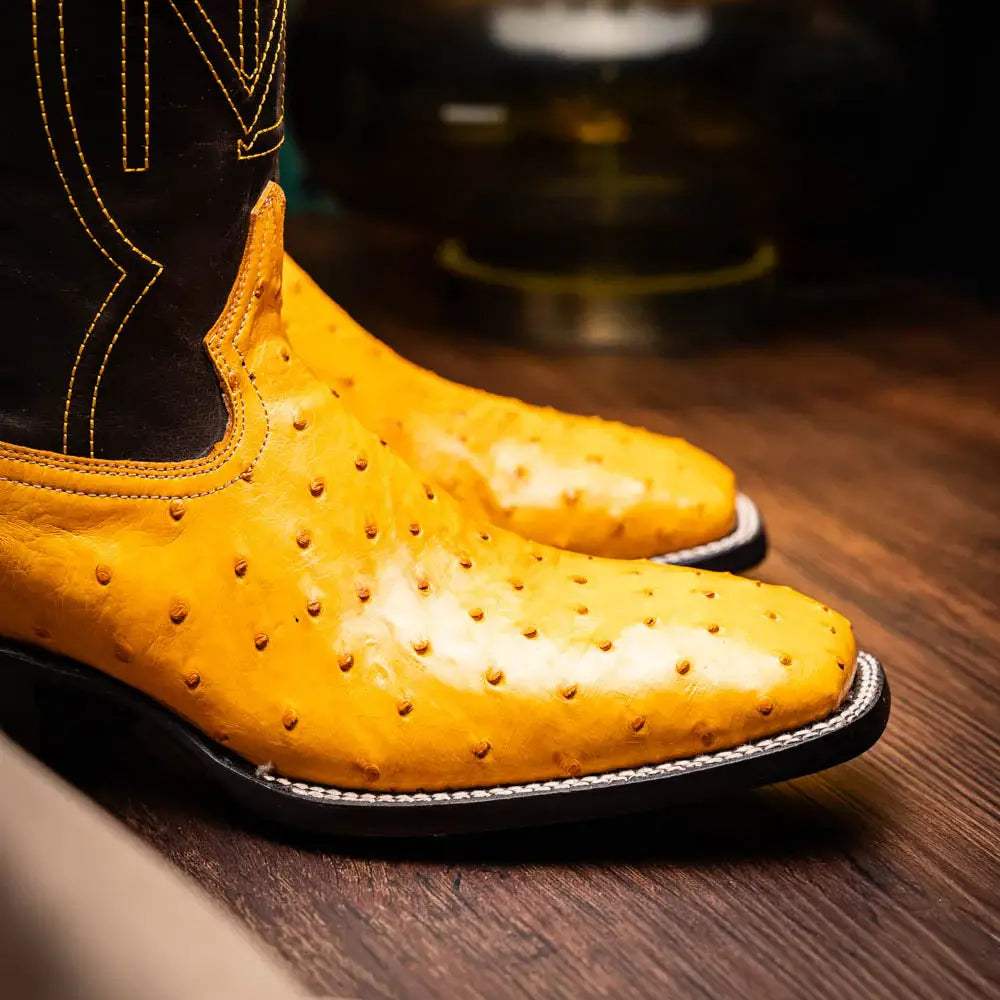 Alabama Buttercup - Marco Di Milano - Flyclothing LLC
