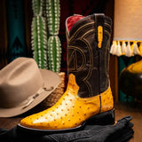 Alabama Buttercup - Marco Di Milano - Flyclothing LLC