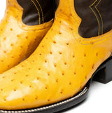 Alabama Buttercup - Marco Di Milano - Flyclothing LLC