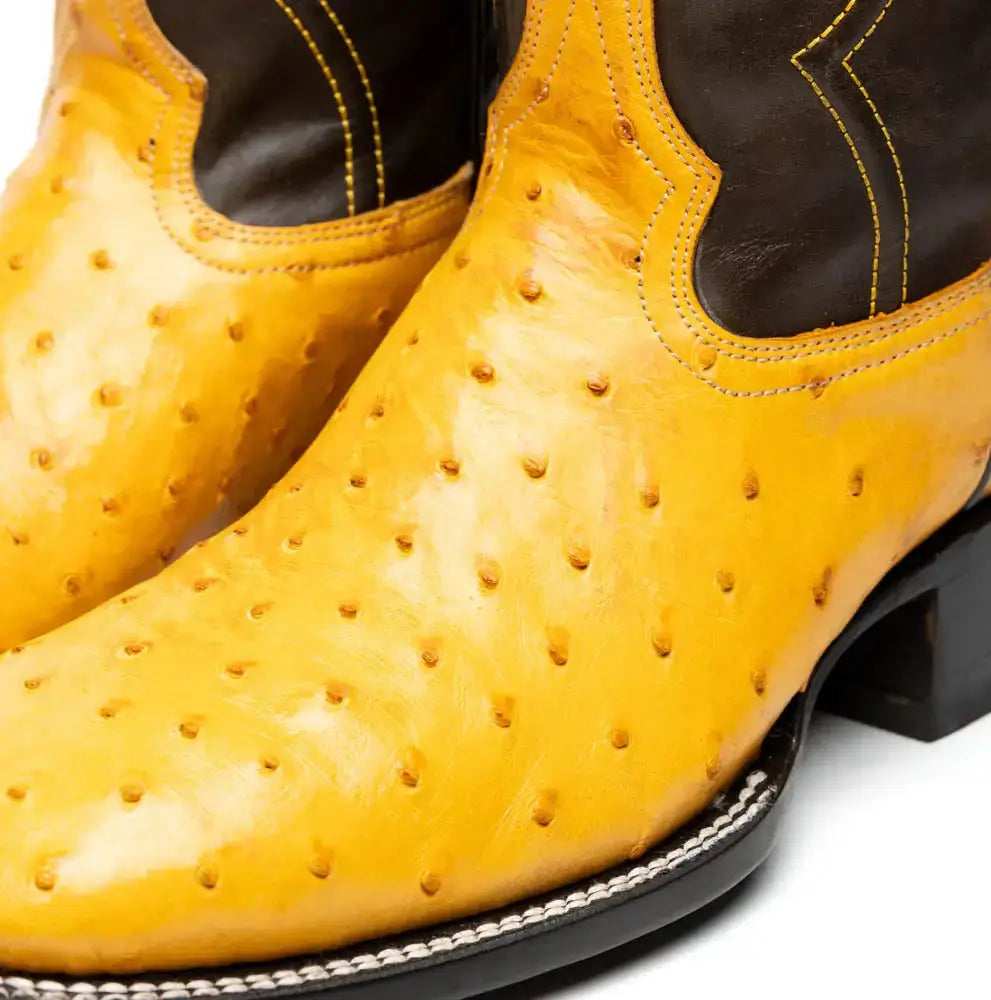 Alabama Buttercup - Marco Di Milano - Flyclothing LLC