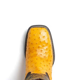 Alabama Buttercup - Marco Di Milano - Flyclothing LLC
