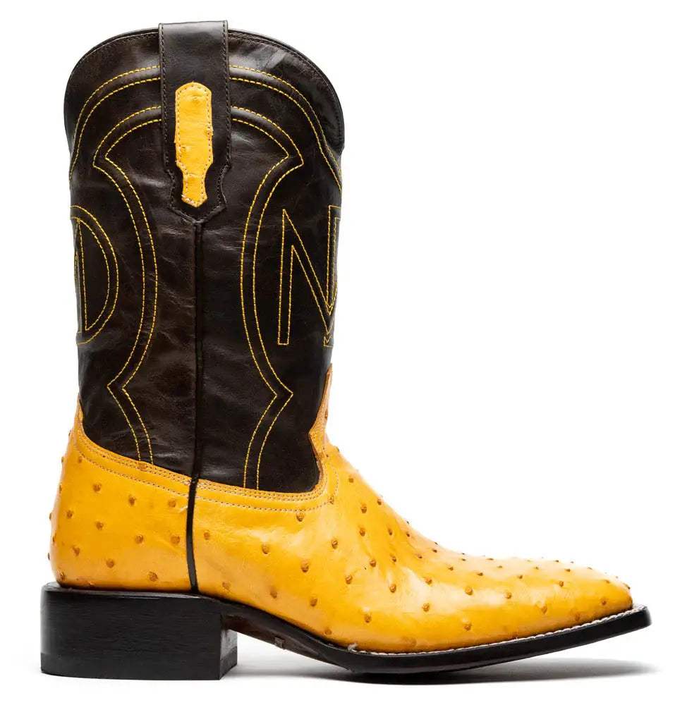 Alabama Buttercup - Marco Di Milano - Flyclothing LLC