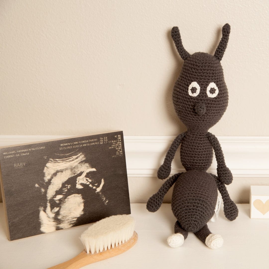 Andy the Ant - bebemoss.com - Flyclothing LLC
