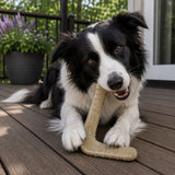Hockey Stick Nylon Dog Chew Toy - Ultra-Durable for Aggressive Chewers USA - SodaPup/True Dogs, LLC - Flyclothing LLC