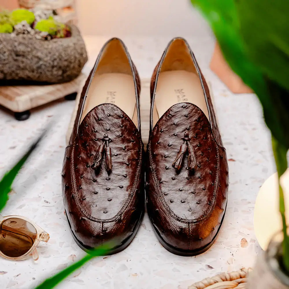 Aubiere Brown - Marco Di Milano - Flyclothing LLC