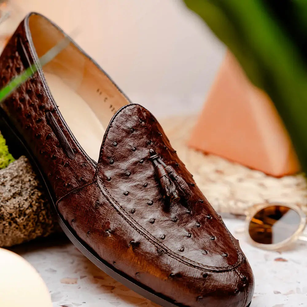 Aubiere Brown - Marco Di Milano - Flyclothing LLC
