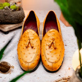 Aubiere Buttercup - Marco Di Milano - Flyclothing LLC