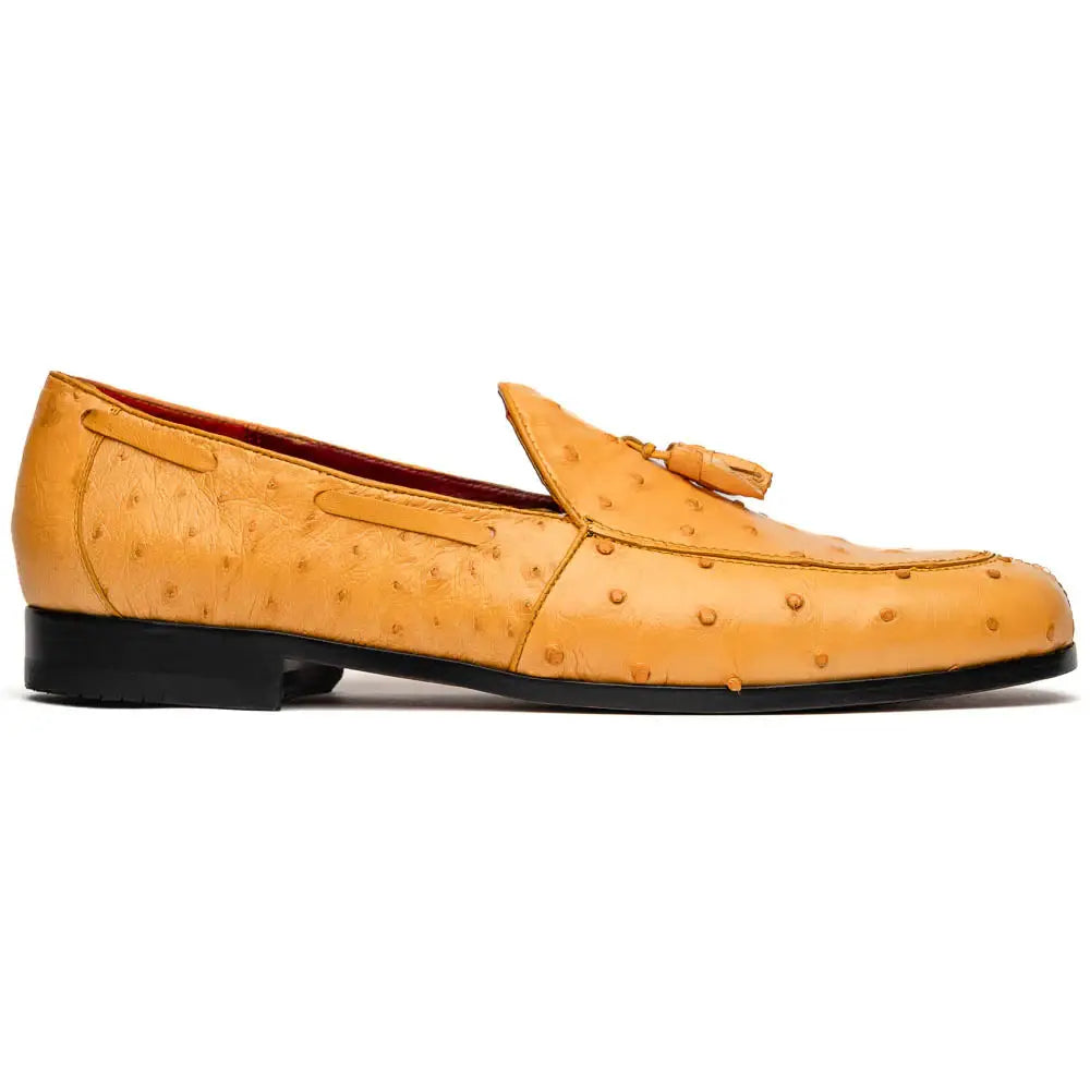 Aubiere Buttercup - Marco Di Milano - Flyclothing LLC