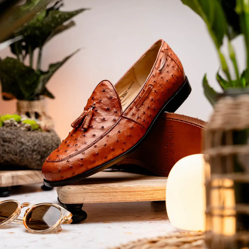 Aubiere Cognac - Marco Di Milano - Flyclothing LLC
