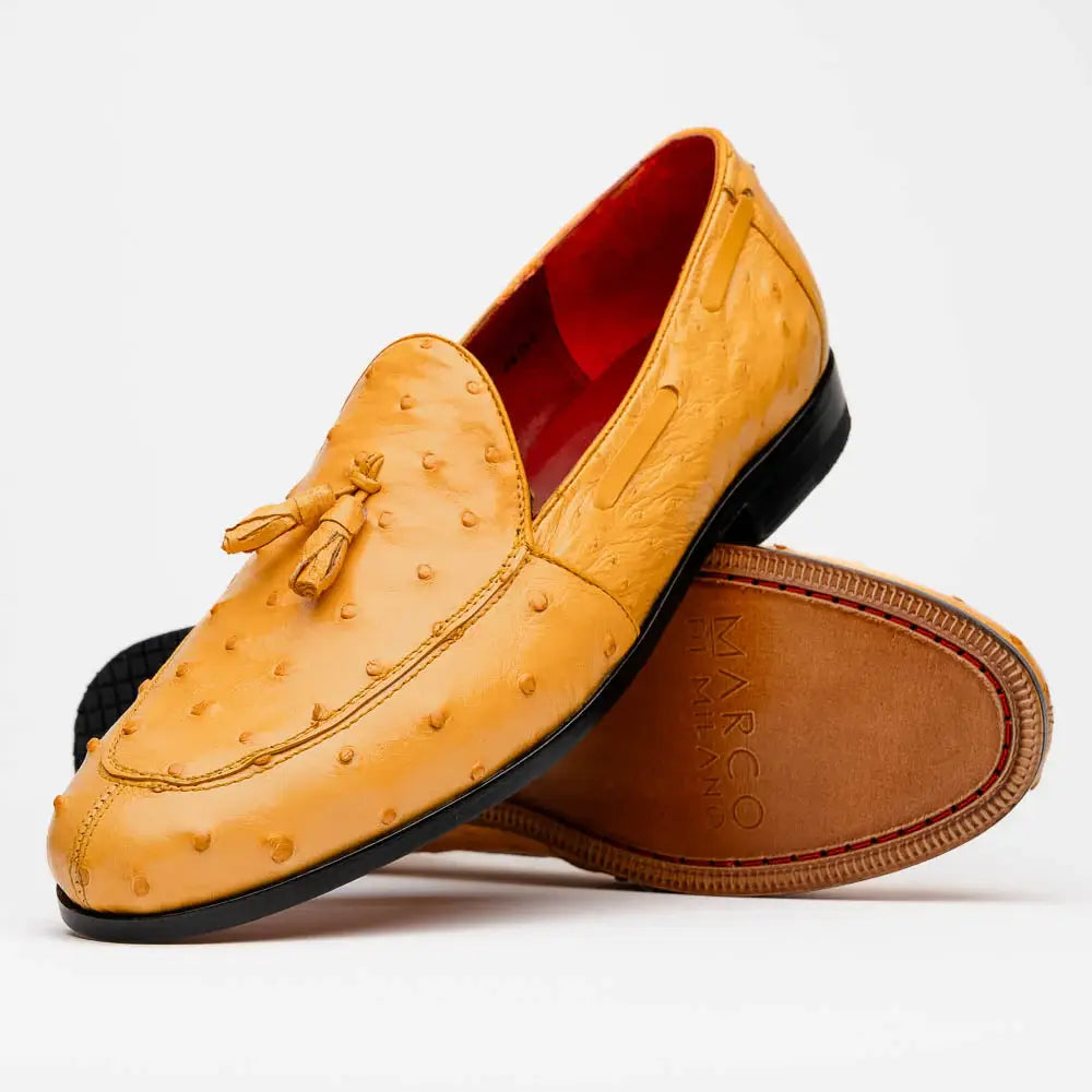 Aubiere Buttercup - Marco Di Milano - Flyclothing LLC