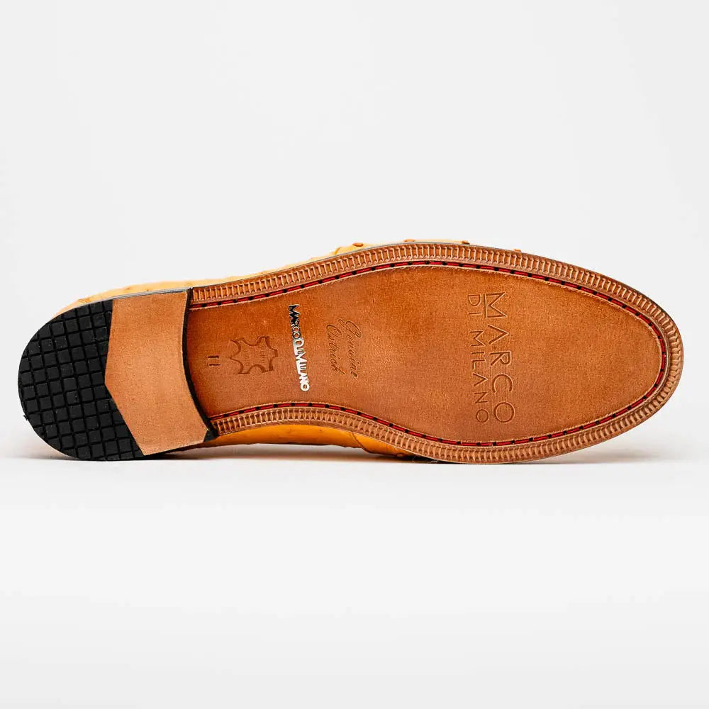 Aubiere Buttercup - Marco Di Milano - Flyclothing LLC
