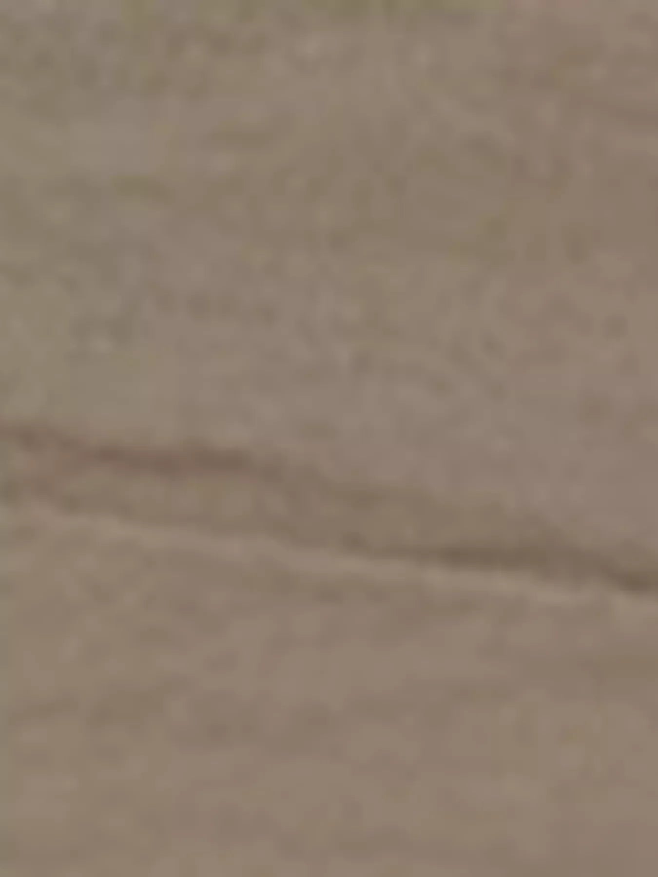 Zip Up Lightweight Jacket - Trendsi - Flyclothing LLC