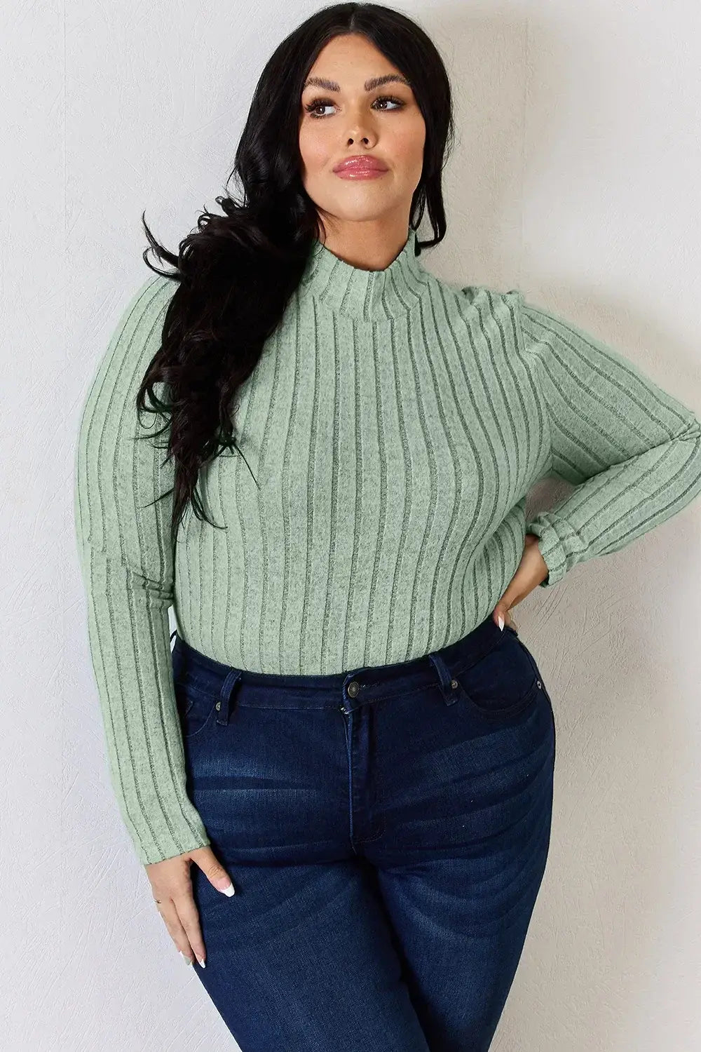 Basic Bae Full Size Ribbed Mock Neck Long Sleeve T-Shirt - ShopBasicbae - Flyclothing LLC