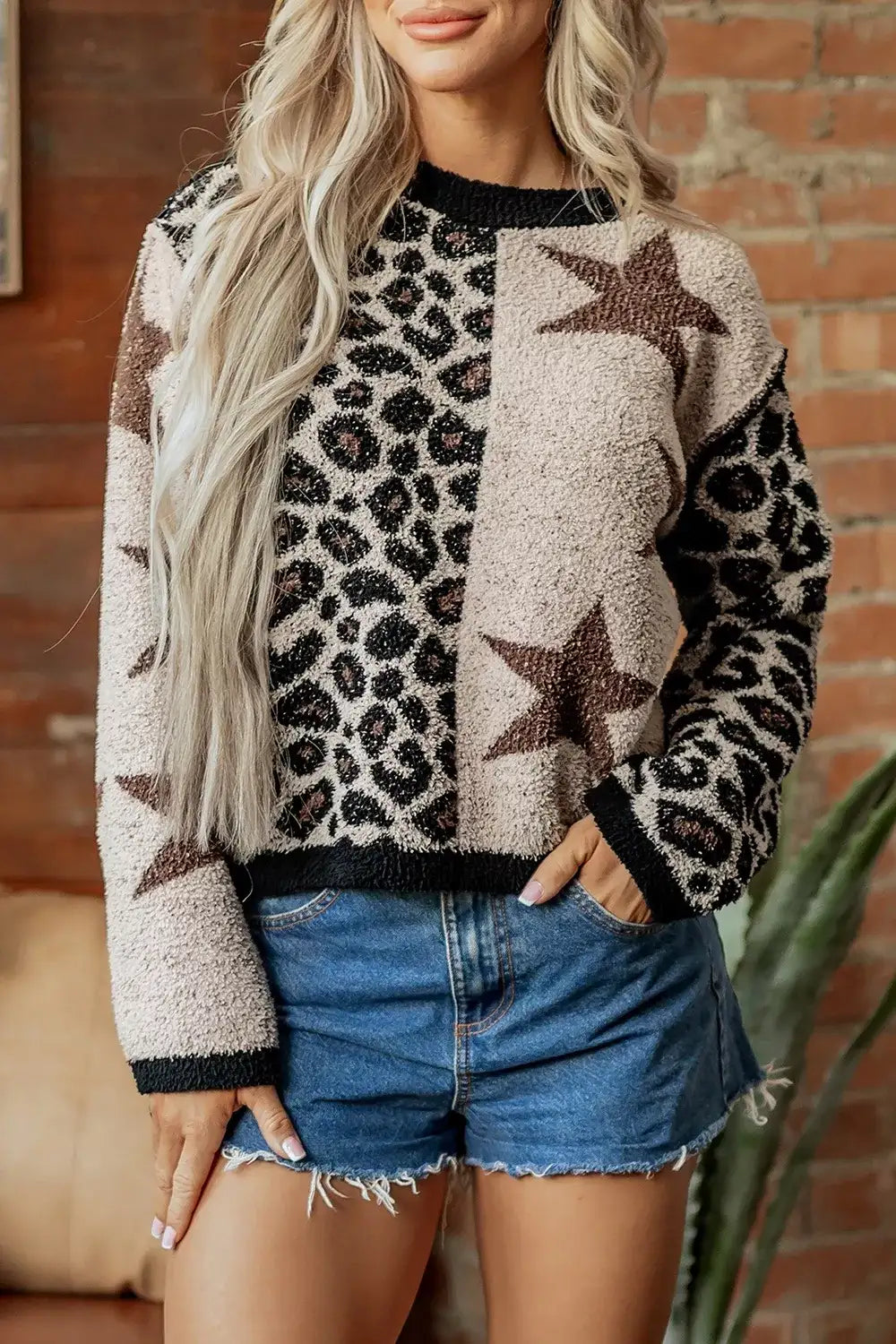 Leopard Star Pattern Round Neck Long Sleeve Shift Sweater - Trendsi - Flyclothing LLC