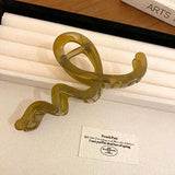 Acrylic Hair Claw Clip - Trendsi - Flyclothing LLC