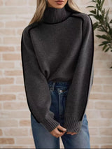 Contrast Trim Turtleneck Sweater - Trendsi - Flyclothing LLC