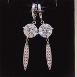 10 Carat Moissanite 925 Sterling Silver Earrings - Trendsi