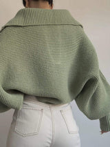 Johnny Collar Long Sleeve Sweater - Trendsi - Flyclothing LLC
