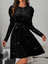 Glitter Round Neck Puff Sleeve Dress - Trendsi - Flyclothing LLC