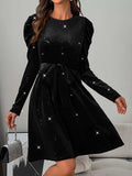 Glitter Round Neck Puff Sleeve Dress - Trendsi - Flyclothing LLC
