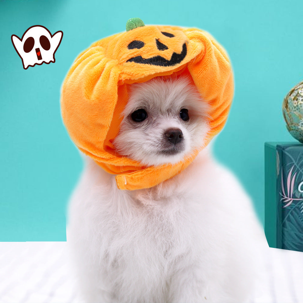 Fashion Halloween Pet Cat Dog Pumpkin Hat - My Store - Flyclothing LLC