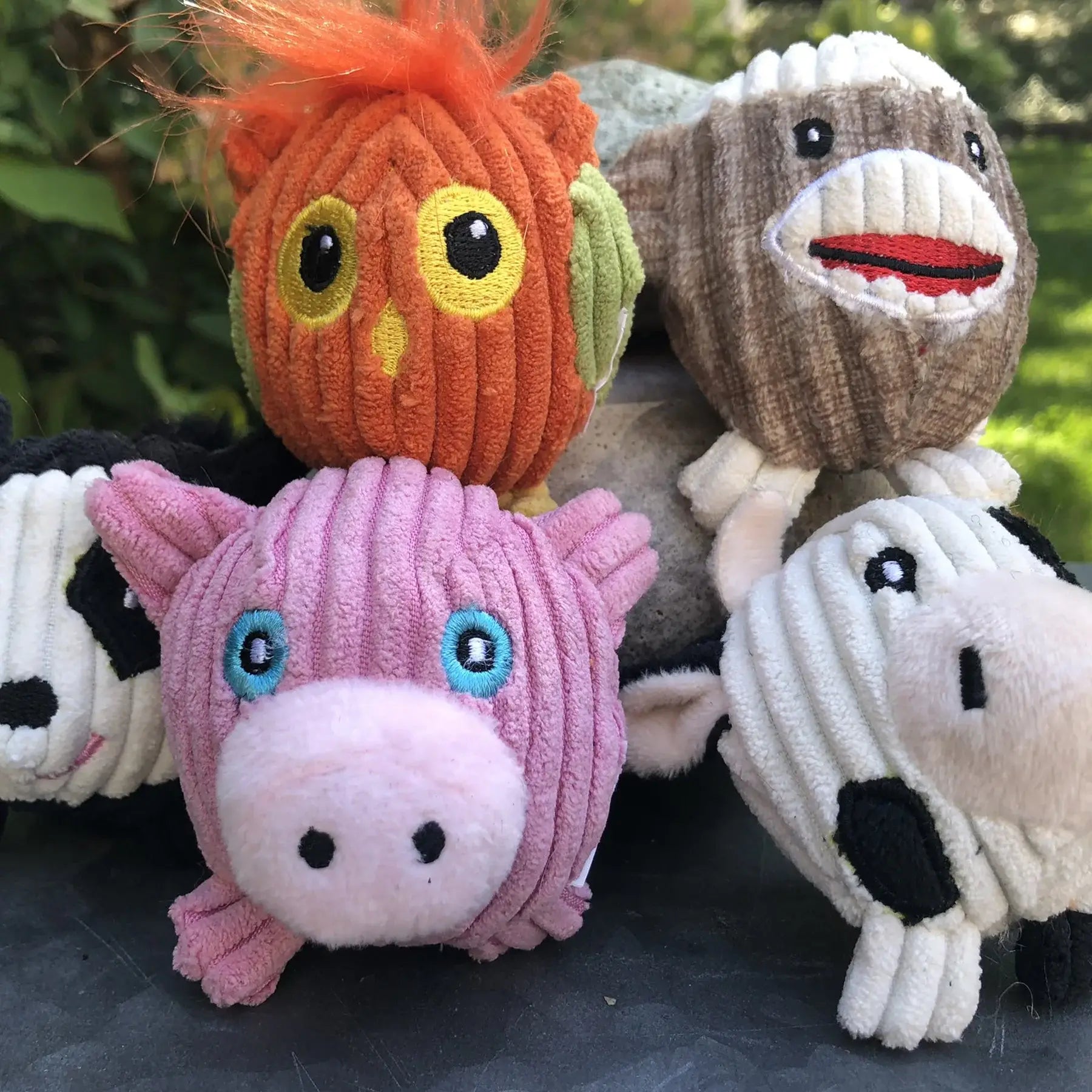 Wee Huggles® Assorted Balls Dog Toys, 5 Pack - HuggleHounds - Flyclothing LLC