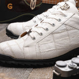 Bari White