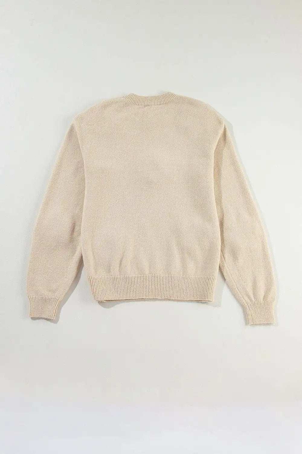 Crochet Flower Round Neck Long Sleeve Sweater - Trendsi - Flyclothing LLC