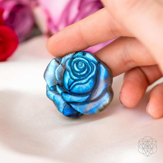 Beautifully Unique - Blossoming Rose of Singularity - Conscious Items - Flyclothing LLC