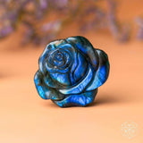 Beautifully Unique - Blossoming Rose of Singularity - Conscious Items - Flyclothing LLC