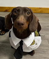 Dachshund Dog Funny Clothes Halloween Suit - My Store - Flyclothing LLC