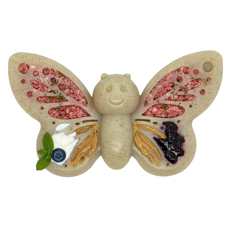 Butterfly Nylon Chew & Enrichment Toy | 2-in-1 for Aggressive Chewers | SodaPup - SodaPup/True Dogs, LLC - Flyclothing LLC