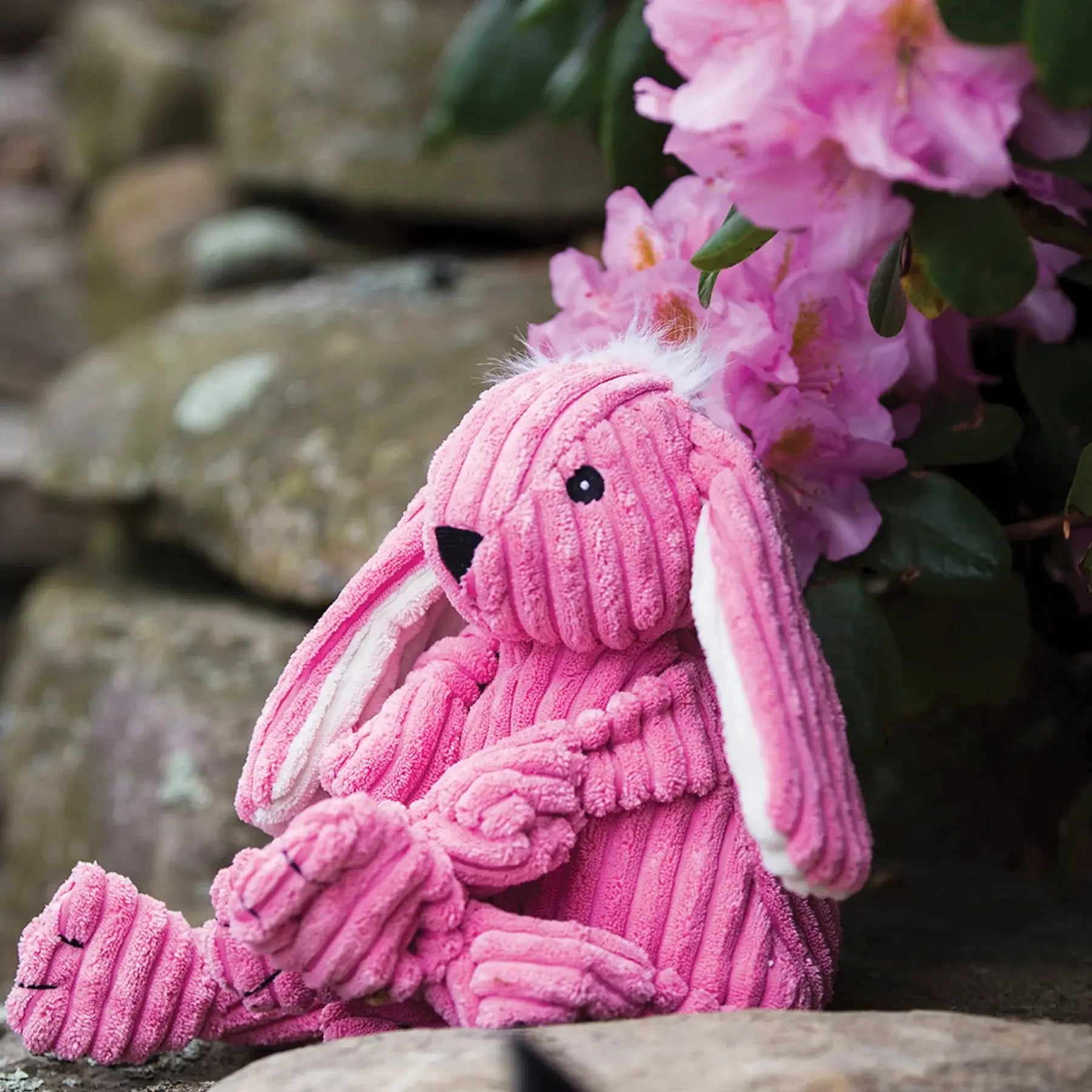 Bitsy Bunny Knottie® Plush Dog Toy - HuggleHounds - Flyclothing LLC
