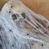 Fashion Personality Halloween Skull Decoration - My Store - Flyclothing LLC