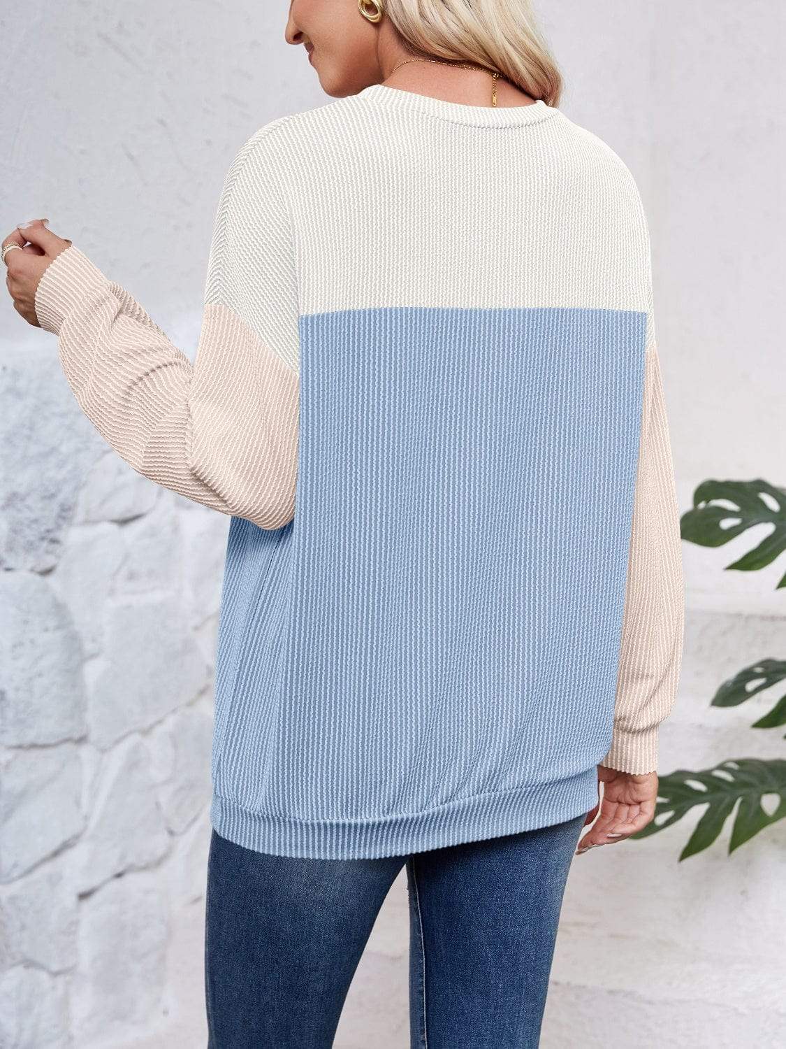 Color Block Round Neck Long Sleeve Sweatshirt - Trendsi - Flyclothing LLC