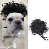 Halloween Christmas Wig Pet Hair Accessories - My Store - Flyclothing LLC