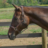 Henri de Rivel Stress Free Halter With Fancy Contrast Stitching - Breeches.com - Flyclothing LLC