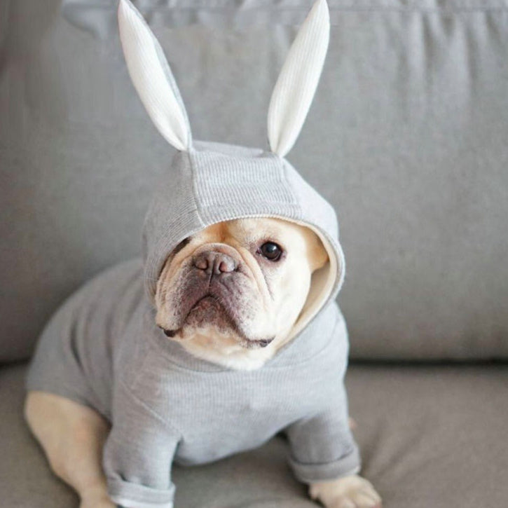 Small dog knitted sweater rabbit ears costume - My Store - Flyclothing LLC
