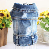 Designer Dog Clothes Small Dog Denim Jacket Coat Cat Costume Puppy Jeans Vest Spring Clothing - My Store - Flyclothing LLC