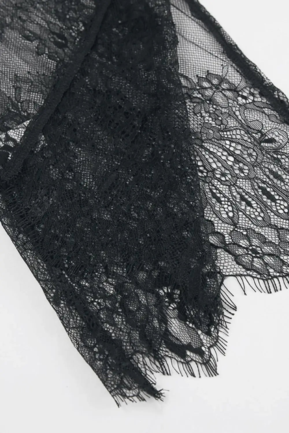 Fringe Round Neck Long Sleeve Lace Sheer Top - Trendsi - Flyclothing LLC